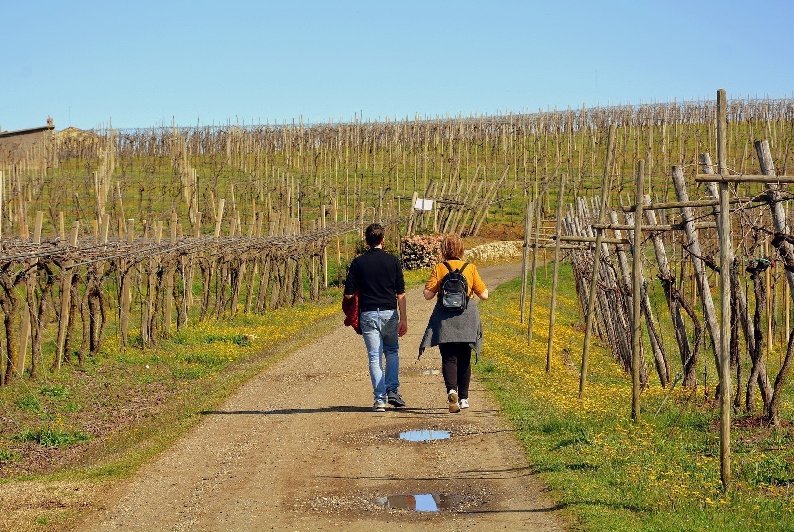 burgenland-wanderung-weingarten 2.jpg
