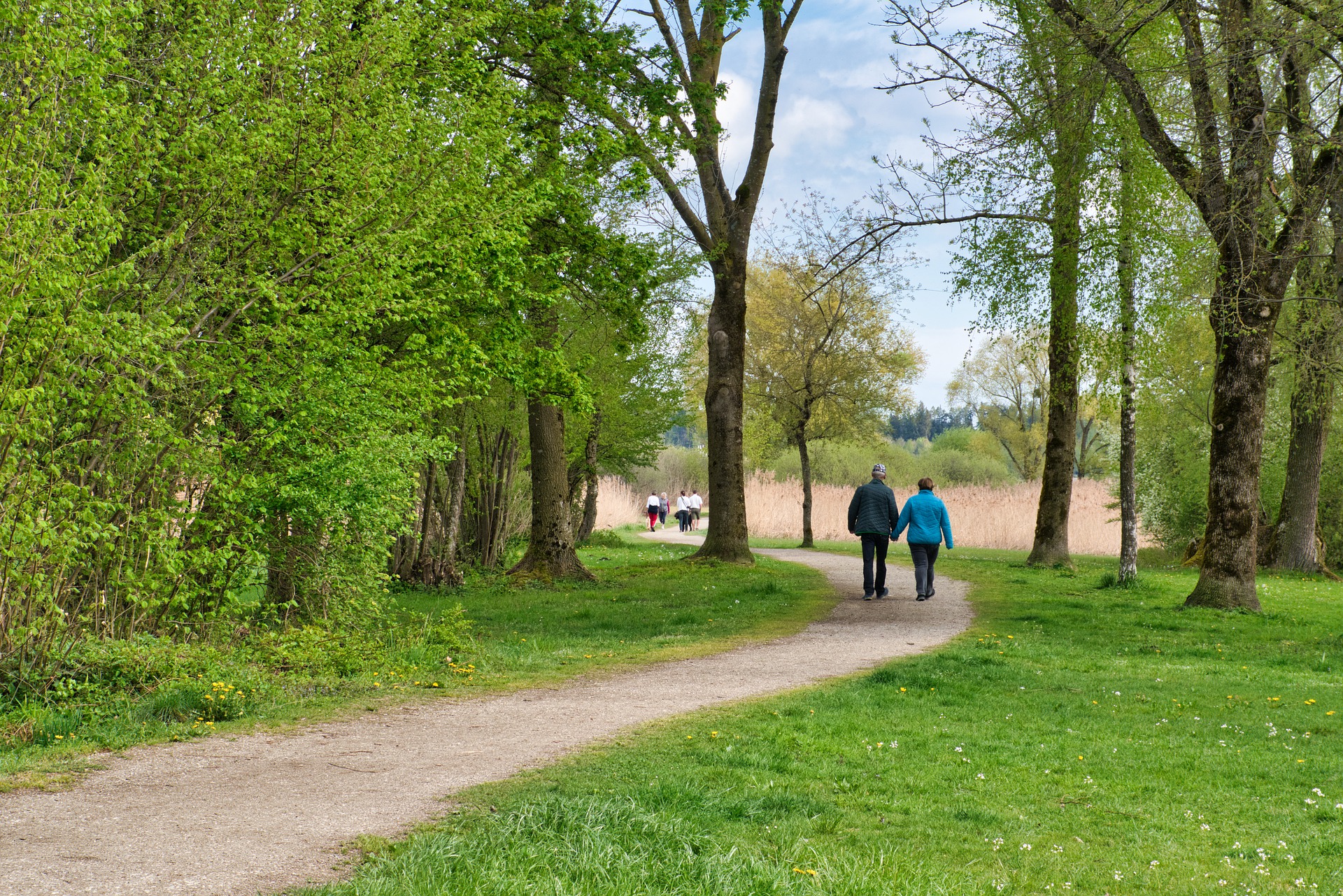 burgenland-wanderweg.jpg