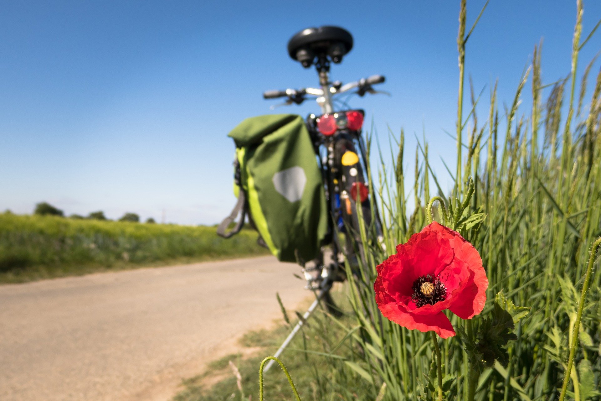 radfahren-burgenland.jpg