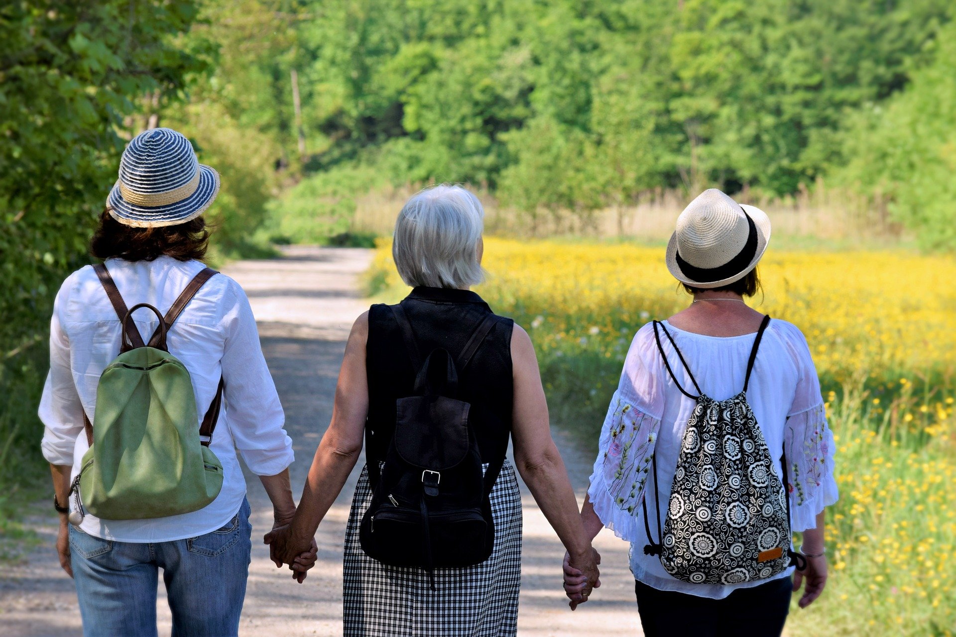 wandern-burgenland.jpg